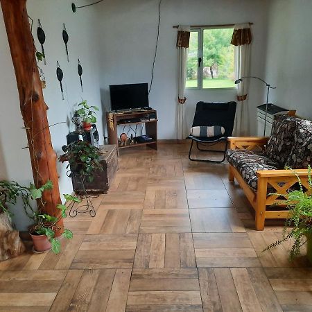 El Jarillal Chalet De Montana A Pasos Del Lago 普埃洛湖 外观 照片