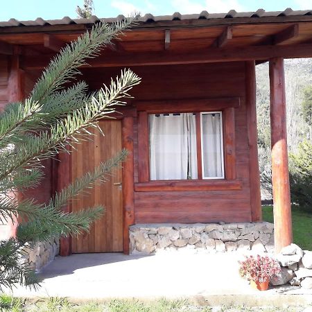 El Jarillal Chalet De Montana A Pasos Del Lago 普埃洛湖 外观 照片